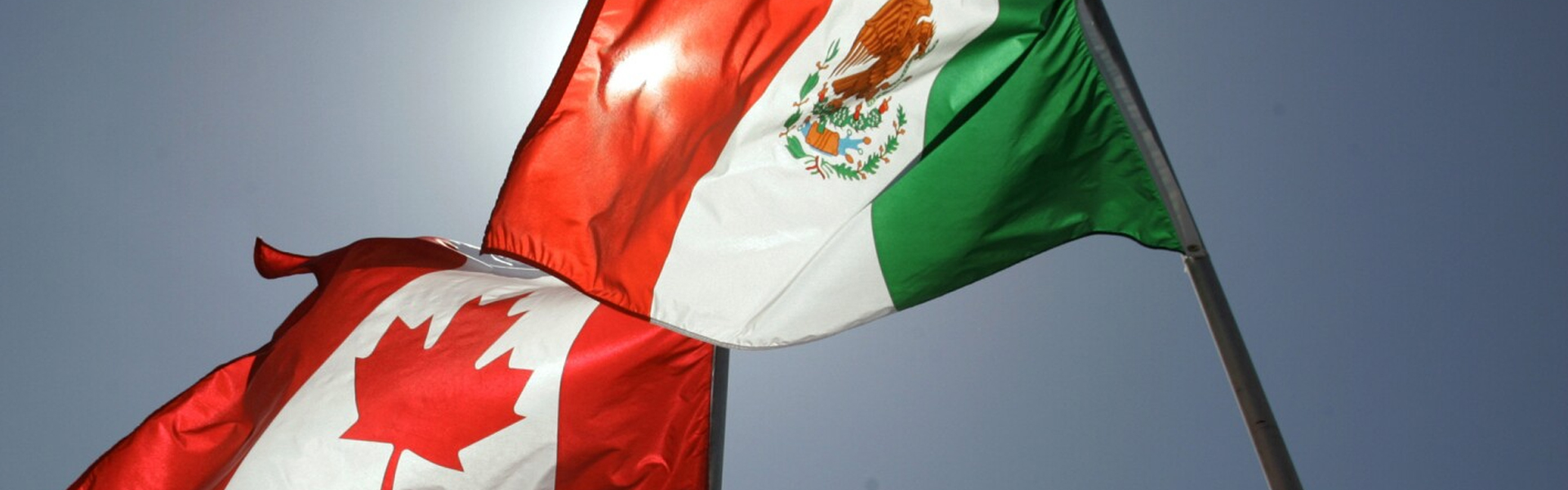 Más de 200 CEO de Estados Unidos piden eliminar aranceles a México y Canadá para fortalecer el T-MEC