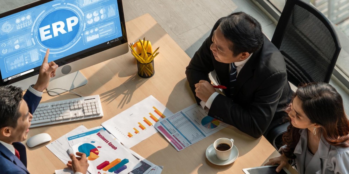 Cómo Elegir e Implementar el Software ERP Adecuado para PYMES Industriales